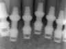 Bicon SHORT Dental Implant Radiograph 0055