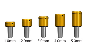 Locator® Abutments with a 2.0mm Post